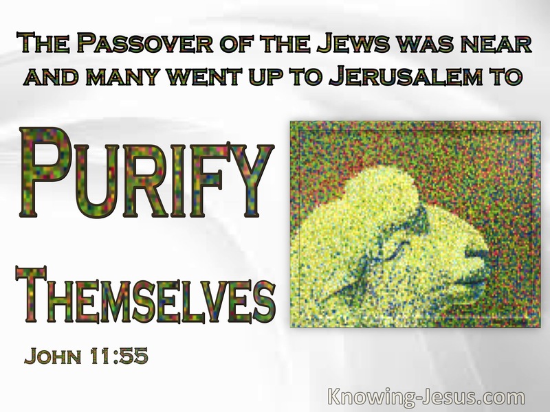 John 11:55 The Passover Of The Jews : To Purify Themselves (white)
